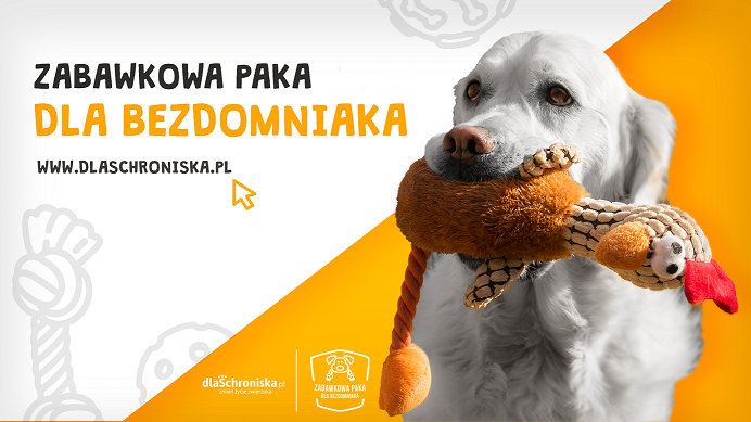  Z okazji Dnia Psa podaruj zabawki bezdomnym czworonogom z Poznania