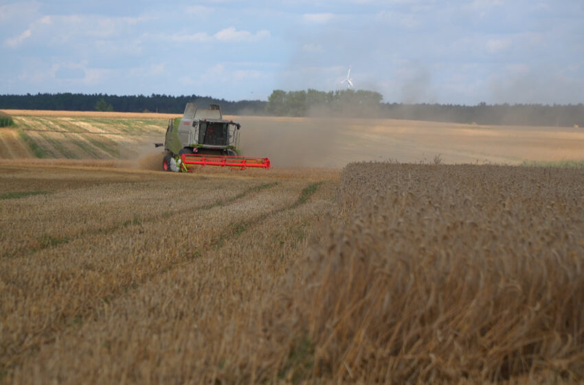  Do 30 czerwca rolnicy mogą składać wnioski o dopłaty unijne