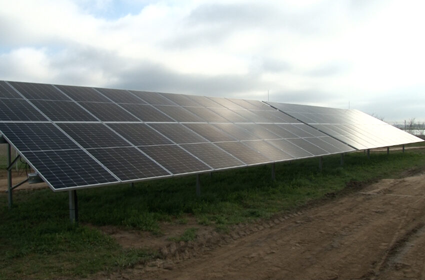  ZE PAK uruchomił największą elektrownię słoneczną w Polsce
