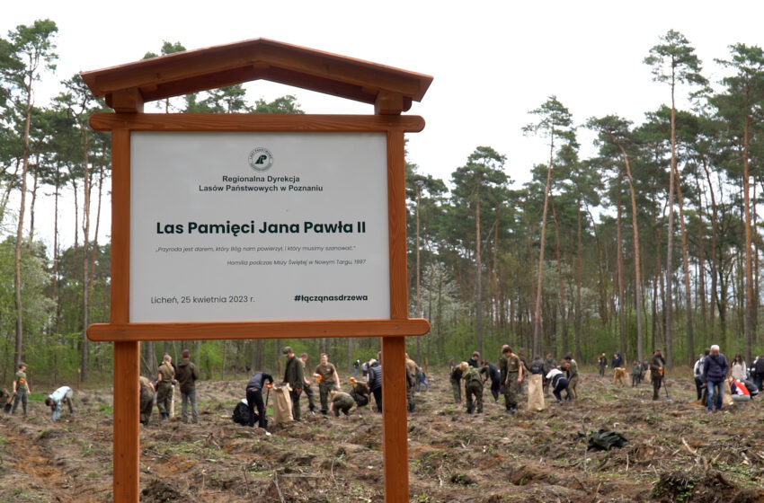  Zasadzili bukowy Las Pamięci Jana Pawła II