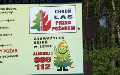 Pożary lasów w Wielkopolsce. Spłonęły hektary terenów