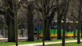 Incydent na przystanku tramwajowym w Poznaniu. Motornicza uderzona podczas interwencji