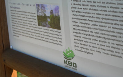 Głosowanie w Konińskim Budżecie Obywatelskim 2026