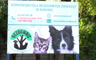Konińskie Schronisko dla Zwierząt szuka wolontariuszy